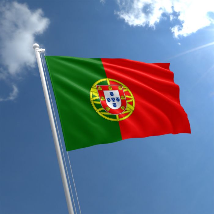 RESIDENCY IN PORTUGAL (D7 VISA)